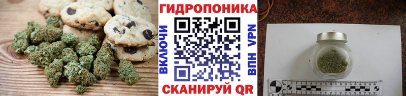 omg ссылка  Ветлуга  Cannafood конопля 
