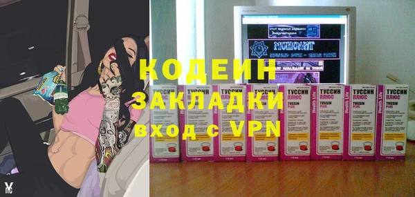 амф Дмитриев