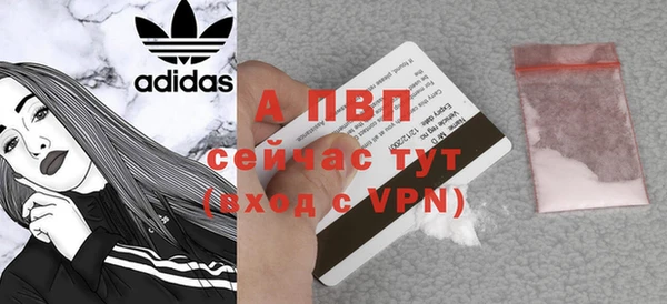 амф Дмитриев