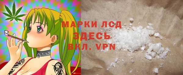 apvp Гусев