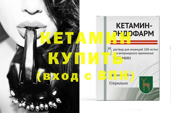 амф Дмитриев