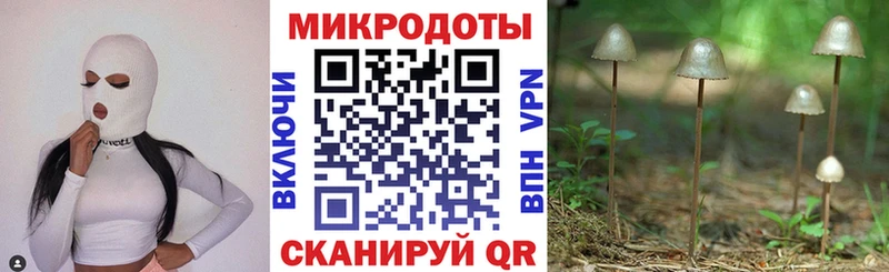 Псилоцибиновые грибы мухоморы  даркнет сайт  Ветлуга 